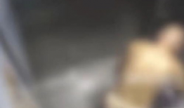 拉屎的视频,一场关于人体排泄的奇妙之旅